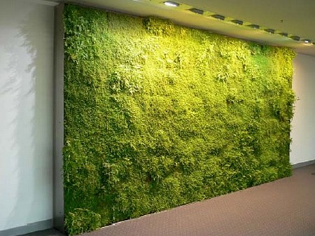 mur végétalisé Indoor landscaping