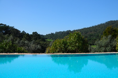 Vue panoramique de la piscine