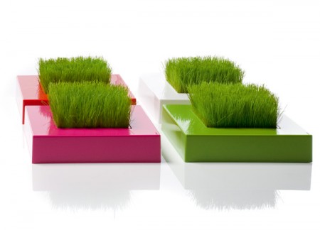 Carrés d'herbe design by Racine Carré