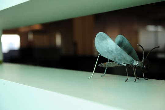 Bureaux Twitter - insecte en métal