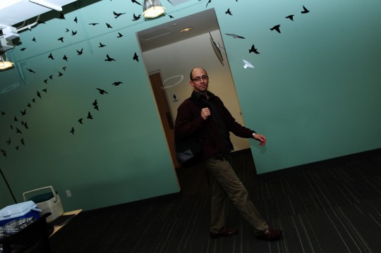 Bureaux Twitter - mur vert avec des oiseaux