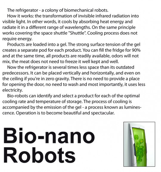 Bio nano robot