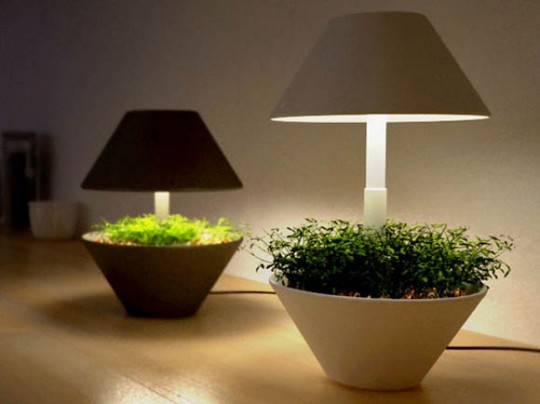 Lightpot - pot de fleurs et lampe de table