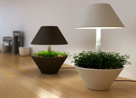 Lightpot - pot de fleurs lumineux