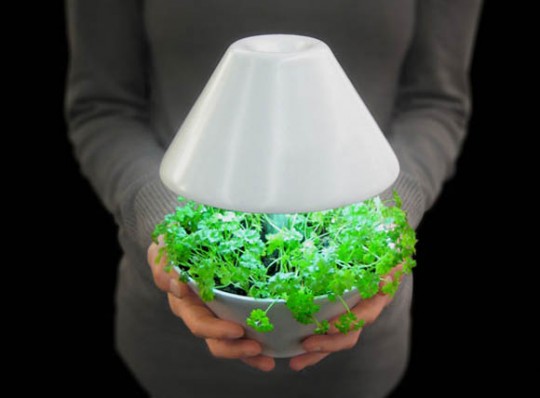 Lightpot, pot de fleurs lampe à  poser