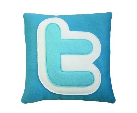 Coussin Twitter