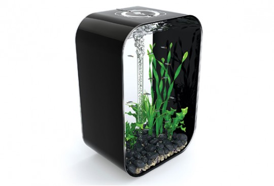 Aquarium design noir BiOrb