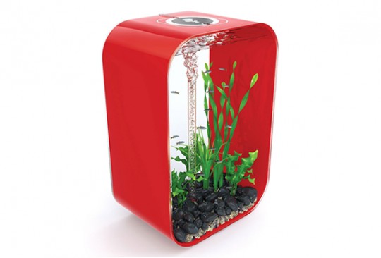 Aquarium design rouge Biorb