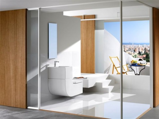 Roca W+W lavabo et WC 2 en 1