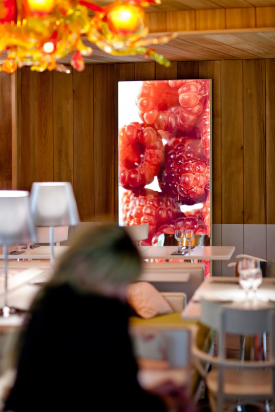 Restaurant Paradis du fruit Roots - Philippe Starck