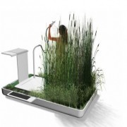 Douche avec des plantes naturelles