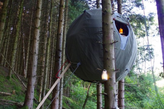 Tree Tent by Luminair : Tente sphérique dans un arbre