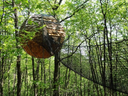 Cabane sphérique dans un arbre