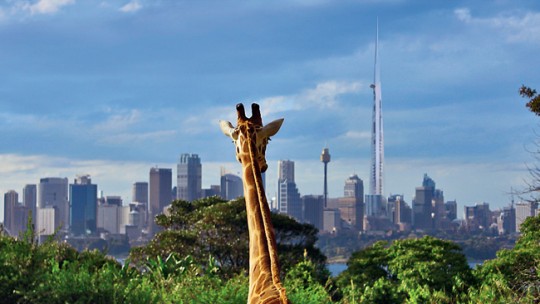 Kingdom Tower - le plus haut gratte-ciel du monde