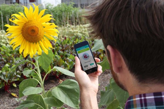 Parrot Flower Power - accessoire sans fil pour entretenir les plantes via iphone