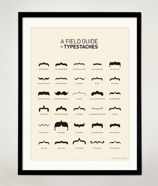 Tableau a Field Guide to Typestaches