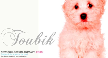 tableau design avec une photo de chien