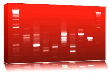 tableau design de votre ADN - Helys
