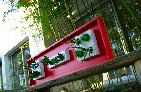 tableau végétalisé avec des plantes - Flowerbox