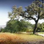 Le futur campus Apple en pleine nature
