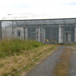 Serre industrielle Ã  Lille