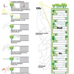 Plan des tours Bosco Verticale