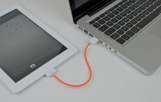 Câble USB pour iPad La pieuvre à lunettes