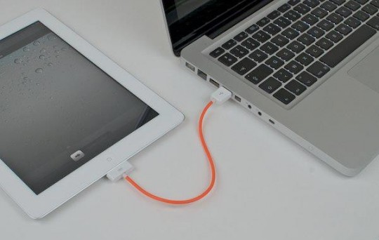 Câble USB pour iPad La pieuvre à lunettes