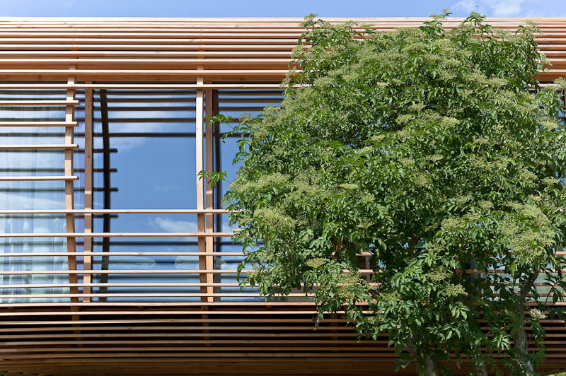 Fincube, maison en bois mobile et écologique