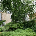 Louer une cabane dans les arbres sur Airbnb