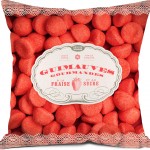 Coussin fraises tagada Bonjour mon coussin