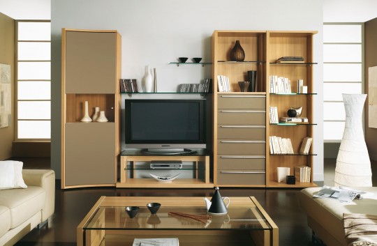 Inspiration meuble TV salon contemporain Gautier Neos