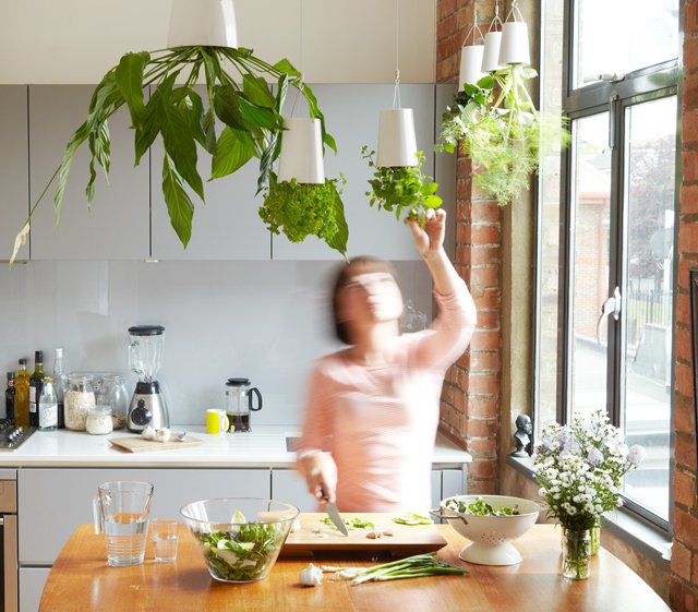 Déco green : Vive les pots de fleurs suspendus au plafond !