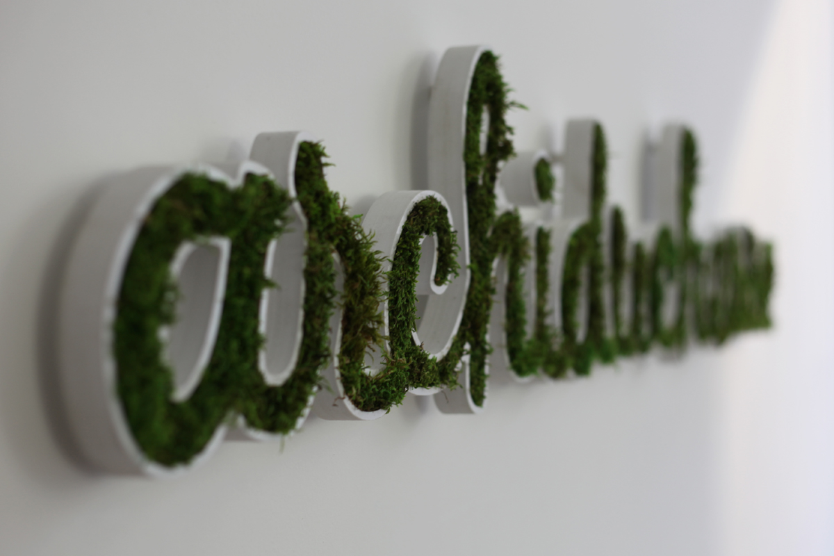 Logo végétal : Un logo verdoyant à accrocher au mur de votre Entreprise